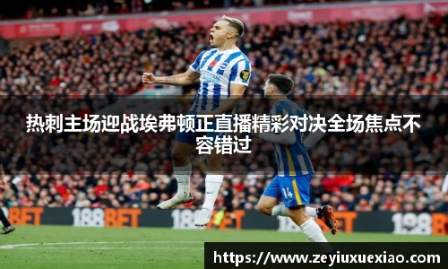 热刺主场迎战埃弗顿正直播精彩对决全场焦点不容错过